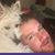 Nicholas Johnson's profile image