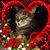 Amanda Rodriguez's profile image