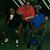 Wayne Kornegay's profile image