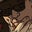 Clark Brooks's profile image