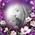 Karen Scapicchio Oakes's profile image