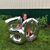 Dawn Johnston's profile image