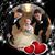 Shannon Schiltz's profile image