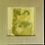Velasquez Michelle's profile image