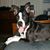 Romelyne Mclaren's profile image