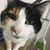 Candace Garcia's profile image