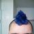 Brandon Clark's profile image