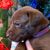 Hal Breedlove's profile image