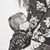 Jessie Sarah Ness's profile image
