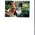 Brenda Leigh Snyder's profile image