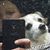 Marion Rackliff Thurston's profile image
