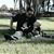 Mike Rivas's profile image