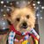 Betty Ann Osborne's profile image