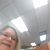 Paula Mills Kramm's profile image