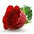 Cristina Rivera's profile image