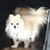 Tina Gruich Campbell's profile image