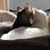 Cathy Dailey's profile image
