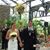 Cheri Awesomness Bommarito's profile image