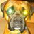 Linda M Johnson's profile image