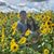 Ines Maria Tavarez's profile image