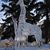 Christine Musto Lovelace's profile image