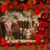 Kim Sullivan's profile image