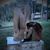 Courtney Bertrand's profile image