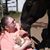 Stephanie Ulness's profile image
