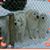 Sherri A Perkins's profile image