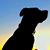 Cammie Somers's profile image