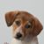 Kathy Fragopulos's profile image