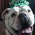 Kandee Bahr Worley's profile image