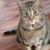 Janet S Noesges Spraut's profile image