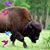 Lori Vierosos's profile image