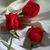 Araceli Gutierrez's profile image