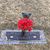 Donna Stanley-Bryan's profile image