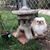 Cindy Walsh's profile image