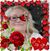Marylin Sherrard's profile image