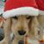 Patricia Fortson's profile image