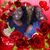 Sylvia Brown Lovely Williams's profile image