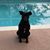 Dawn Smith's profile image