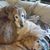 Valerie Lois's profile image