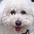 Toby DeVoss's profile image