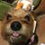 Gwen Freeman's profile image