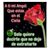 Prz Esperanza's profile image