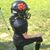 Therese Rose's profile image