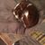 Tara Kidwell's profile image