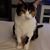 Mary Olson-sinz's profile image