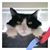 Linda Trem's profile image