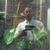 David Frissell's profile image
